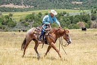 Horse Training Ranch
